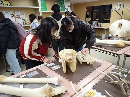 動物応用科学科2年次がいのちの博物館で授業