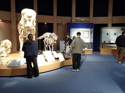 動物応用科学科2年次がいのちの博物館で授業