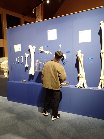 動物応用科学科2年次がいのちの博物館で授業