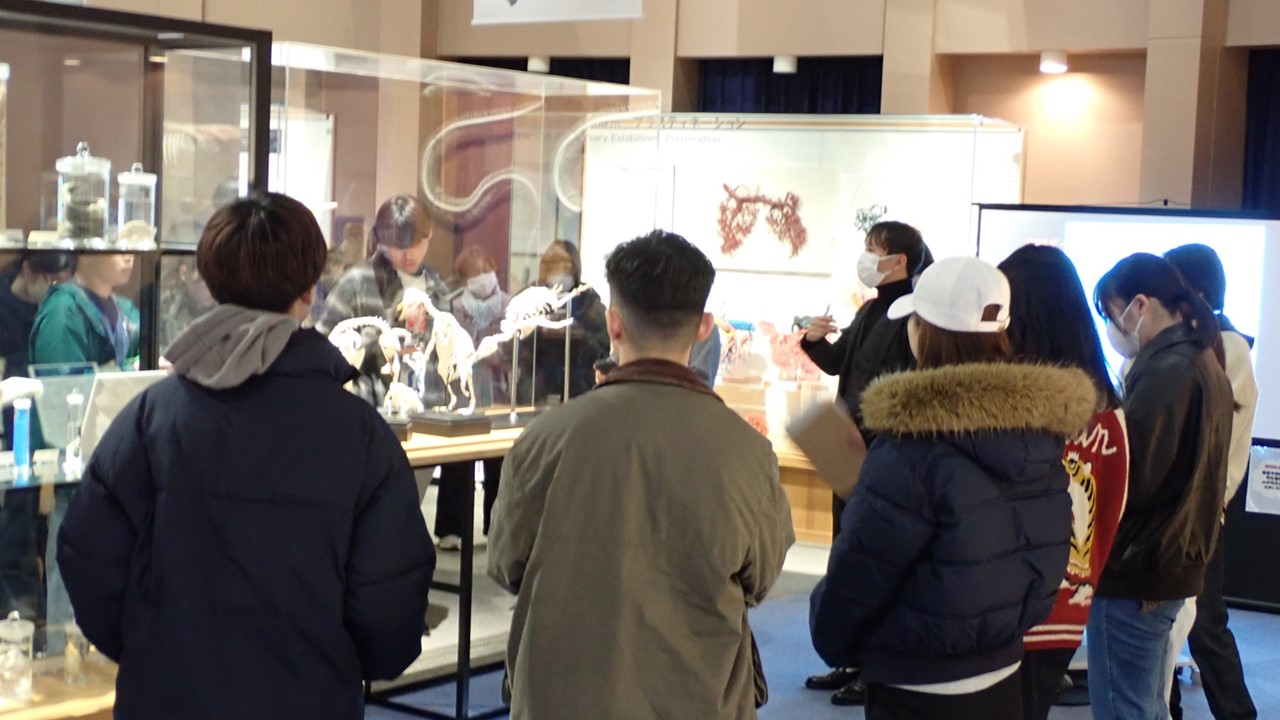 いのちの博物館だより