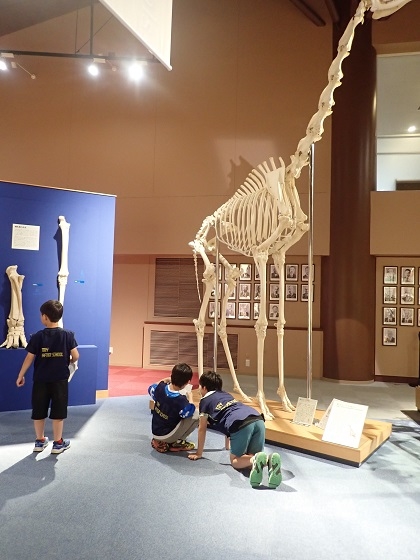 いのちの博物館にトライアフタースクール日吉本町の小学生