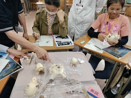 いのちの博物館が学習教材貸出
