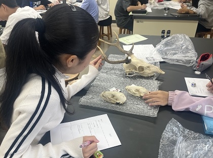 和光中学校に標本貸し出し