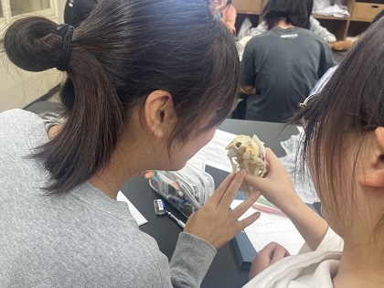 和光中学校標本貸し出し