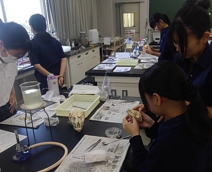 麻布大学附属高等学校