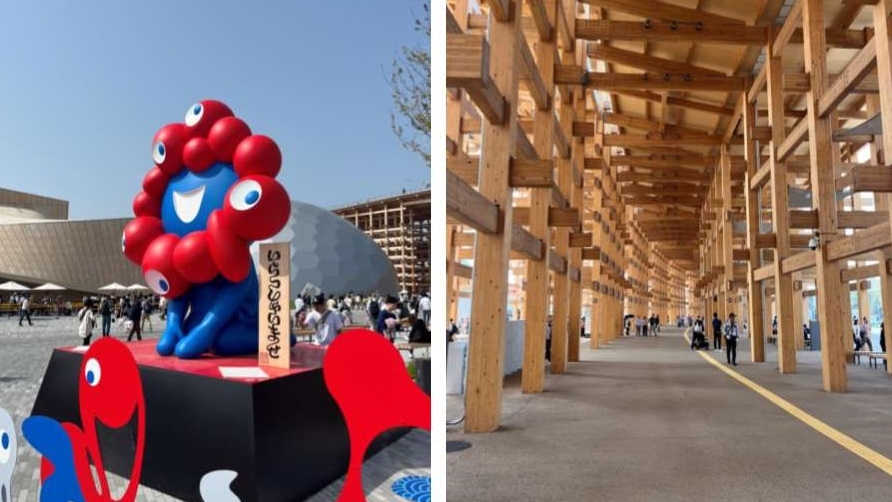 毎日新聞社（2025大阪・関西万博で学ぶSDGzoo「手で見るいのち」）